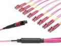 MTP_LC-Duplex_OM4_M4.TA8L.300.16