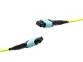 MTP_MTP_OM5_M5.TATA.300.16