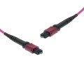 cable_156_om4_mtp-mpo_female_mtp-mpo_female_1_1_60