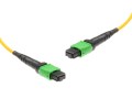 cable_156_os2_mtp-mpo_female_mtp-mpo_female1_3_1_1_10