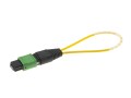 cable_156_os2_mtp_loopback