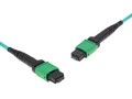cable_OM3_MTP-MPO_APC_female_MTP-MPO_APC_female_156_1_60